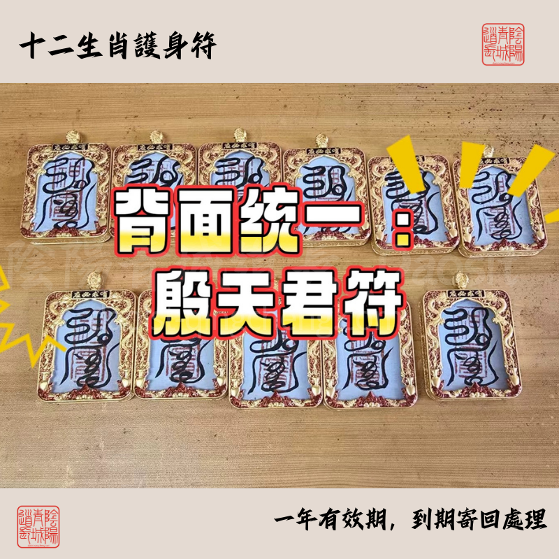 ⭐十二生肖守護符⭐殷天君符-大師兄請手寫辟邪保平安-有效期1年