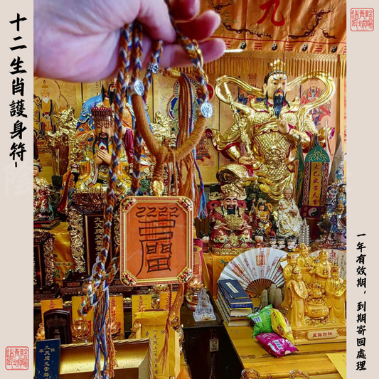 ⭐十二生肖守護符⭐殷天君符-大師兄請手寫辟邪保平安-有效期1年