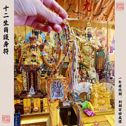 ⭐十二生肖守護符⭐殷天君符-大師兄請手寫辟邪保平安-有效期1年