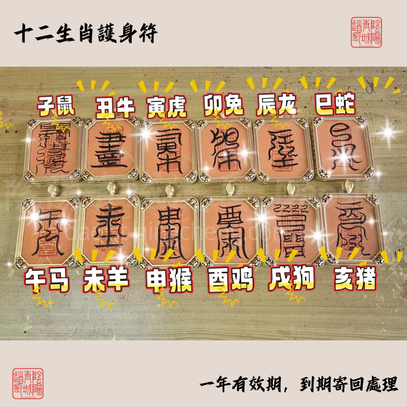 ⭐十二生肖守護符⭐殷天君符-大師兄請手寫辟邪保平安-有效期1年